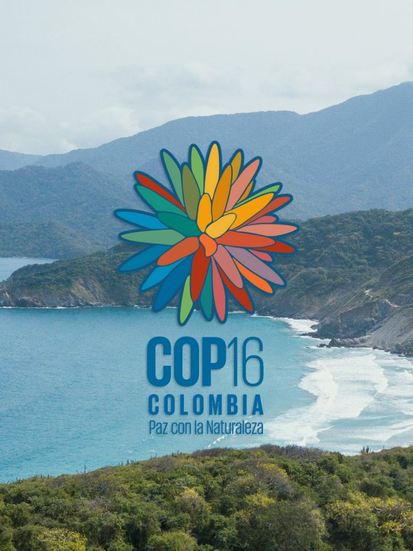 logo-cop16background